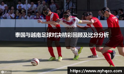 6T体育