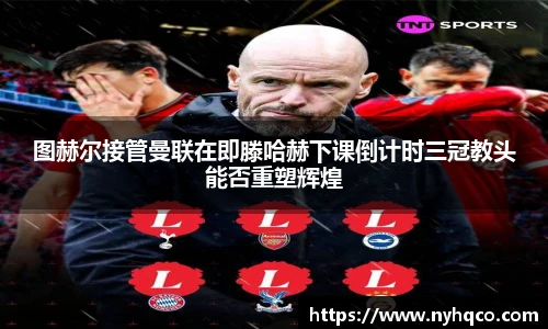 6T体育官网